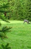 Туры в отель Berg & Spa Hotel Gabelbach Туры в отель Berg & Spa Hotel Gabelbach