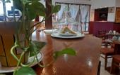 Туры в отель Kalenshen Calafate Туры в отель Kalenshen Calafate