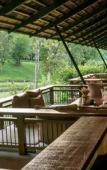 Туры в отель MUTHI MAYA Forest Pool Villa Resort Туры в отель MUTHI MAYA Forest Pool Villa Resort