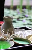 Туры в отель MUTHI MAYA Forest Pool Villa Resort Туры в отель MUTHI MAYA Forest Pool Villa Resort