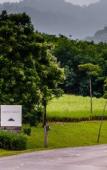 Туры в отель MUTHI MAYA Forest Pool Villa Resort Туры в отель MUTHI MAYA Forest Pool Villa Resort