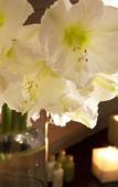 Туры в отель Hotel Le Colombier Туры в отель Hotel Le Colombier