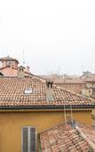 Туры в отель Residenza Ariosto Depandance Туры в отель Residenza Ariosto Depandance