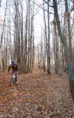 Туры в отель Bosco Ciancio Туры в отель Bosco Ciancio