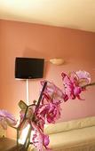 Туры в отель Hotel Ursula Туры в отель Hotel Ursula