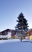 Туры в отель Spa Hotel Jagdhof Туры в отель Spa Hotel Jagdhof
