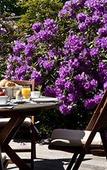 Туры в отель Ringhotel Ahrensburg Туры в отель Ringhotel Ahrensburg