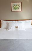 Туры в отель Hotel Ai Gelsi Туры в отель Hotel Ai Gelsi
