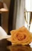 Туры в отель Suitehotel Posthoorn Туры в отель Suitehotel Posthoorn