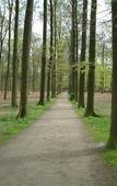 Туры в отель Van der Valk Hotel de Bilt - Utrecht Туры в отель Van der Valk Hotel de Bilt - Utrecht