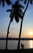 Туры в отель Avani Kalutara Resort Туры в отель Avani Kalutara Resort