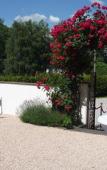 Туры в отель Hotel Plankenhof B&B Туры в отель Hotel Plankenhof B&B