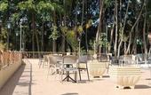 Туры в отель Hotel Fazenda Piramides Туры в отель Hotel Fazenda Piramides