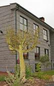 Туры в отель Hotel Akelarre Туры в отель Hotel Akelarre