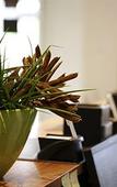 Туры в отель Fred Guest House Hauptbahnhof - Self Check-in Туры в отель Fred Guest House Hauptbahnhof - Self Check-in