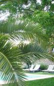 Туры в отель Hotel La Fuente de la Higuera Туры в отель Hotel La Fuente de la Higuera