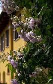 Туры в отель Agriturismo Ca' Nuova Туры в отель Agriturismo Ca' Nuova