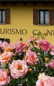 Туры в отель Agriturismo Ca' Nuova Туры в отель Agriturismo Ca' Nuova