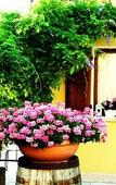 Туры в отель Agriturismo Ca' Nuova Туры в отель Agriturismo Ca' Nuova