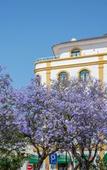 Туры в отель Loule Jardim Hotel Туры в отель Loule Jardim Hotel