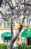 Туры в отель Loule Jardim Hotel Туры в отель Loule Jardim Hotel