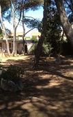 Туры в отель Citotel Le Mirage Туры в отель Citotel Le Mirage