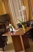 Туры в отель Park Hotel Bydgoszcz Туры в отель Park Hotel Bydgoszcz