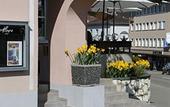 Туры в отель Hotel Uzwil Туры в отель Hotel Uzwil