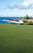 Туры в отель Kapalua Villas Туры в отель Kapalua Villas