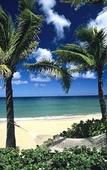 Туры в отель Kapalua Villas Туры в отель Kapalua Villas