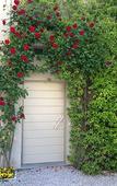 Туры в отель Hotel Villa Aurora Туры в отель Hotel Villa Aurora