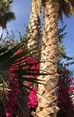 Туры в отель Hotel Redebora Туры в отель Hotel Redebora