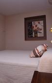 Туры в отель Hotel Andalucia Туры в отель Hotel Andalucia