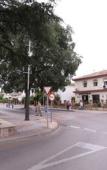 Туры в отель Hotel Andalucia Туры в отель Hotel Andalucia