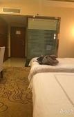Туры в отель Chengdu Baigang International Hotel (Shuangliu Airport Terminal) Туры в отель Chengdu Baigang International Hotel (Shuangliu Airport Terminal)