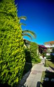 Туры в отель Hotel Kapsohora Inn Туры в отель Hotel Kapsohora Inn
