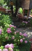 Туры в отель Kaltur Boutique Otel Туры в отель Kaltur Boutique Otel