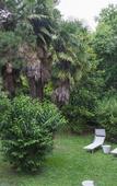 Туры в отель Ai Giardini di San Vitale Туры в отель Ai Giardini di San Vitale