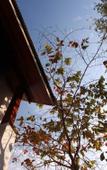 Туры в отель Baan Tye Wang Hotel Туры в отель Baan Tye Wang Hotel