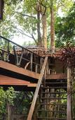 Туры в отель Khao Sok Paradise Resort Туры в отель Khao Sok Paradise Resort