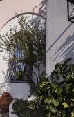 Туры в отель Tenuta del Poggio Antico Туры в отель Tenuta del Poggio Antico