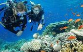 Туры в отель Out of the Blue Resort Туры в отель Out of the Blue Resort