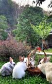 Туры в отель V Valley Resort Туры в отель V Valley Resort
