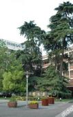 Туры в отель Hangzhou Overseas Chinese Hotel Туры в отель Hangzhou Overseas Chinese Hotel