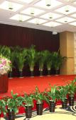 Туры в отель Heaven-sent Plaza Hotel Zhanjiang Туры в отель Heaven-sent Plaza Hotel Zhanjiang