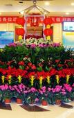 Туры в отель Haotian Holiday Hotel Beijing Туры в отель Haotian Holiday Hotel Beijing