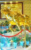 Туры в отель Long Wish Hotel International Туры в отель Long Wish Hotel International