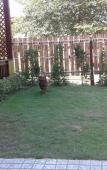 Туры в отель The Peace Tara House Туры в отель The Peace Tara House