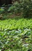 Туры в отель Ninh Binh Mountain Side Homestay & Cafe Туры в отель Ninh Binh Mountain Side Homestay & Cafe