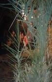 Туры в отель Tissili Auberge Restaurant Oasis de Fint Туры в отель Tissili Auberge Restaurant Oasis de Fint